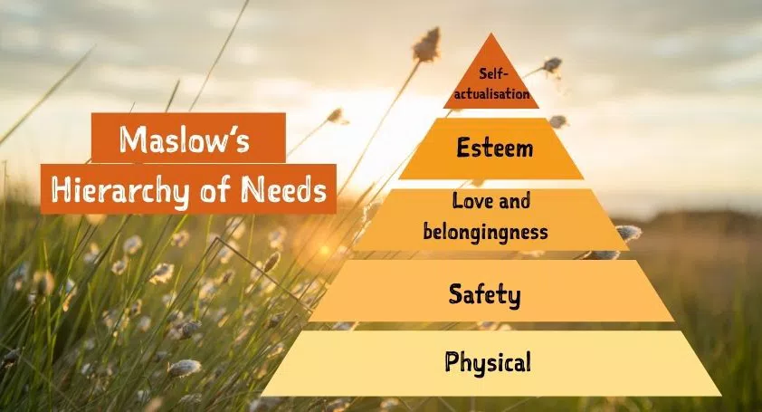 Introduction of Maslow’s  Hierarchy of Needs, divided into 5 needs including Physical needs, Safety needs, Love and belongingness needs, Esteem needs and Self-actualisation needs.